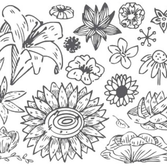 INTIMATES -------> - Picture 4 of 15